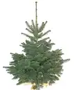 Bild 1 von Weihnachtsbaum