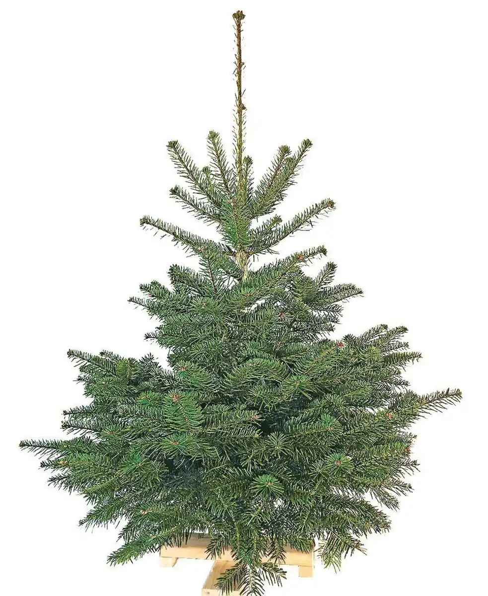 Bild 1 von Weihnachtsbaum