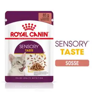 ROYAL CANIN Sensory Taste in Soße für wählerische Katzen 12x85 g