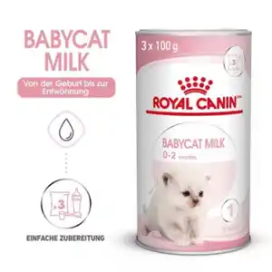 ROYAL CANIN Babycat Milk Milchpulver 300 g