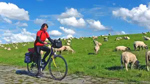 Eigene Anreise Ostfriesland und seine Inseln: Radreise ab/an Emden