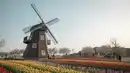 Bild 1 von Niederlande zur Tulpenblüte  – Flusskreuzfahrt - Route A