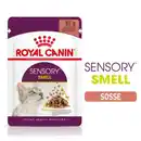 Bild 1 von ROYAL CANIN Sensory Smell in Soße für wählerische Katzen 12x85 g