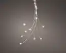 Bild 1 von Kaemingk Micro LED Bündel Lichterkette mit 40 Lichter warmweiß 65 cm