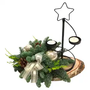 GARDENLINE Sterne Modell