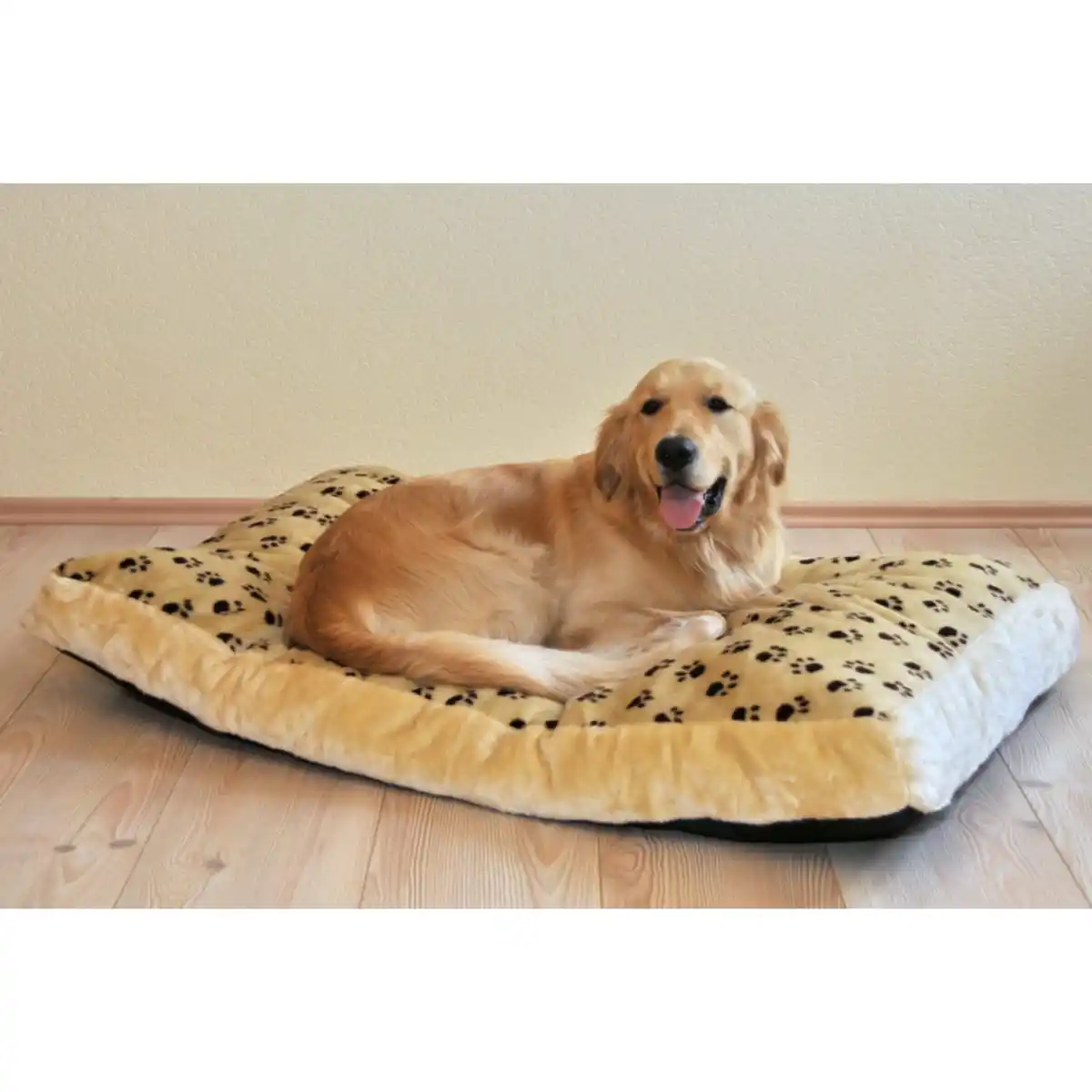 Bild 1 von Hundekissen Silvio, Größe XXL