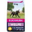 Bild 1 von EUKANUBA Puppy Large Breed 3 kg