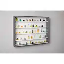 Bild 1 von Inter Link Sammlervitrine Gewürzschrank Hängevitrine Wandregal Collecty - Grau/Weiss