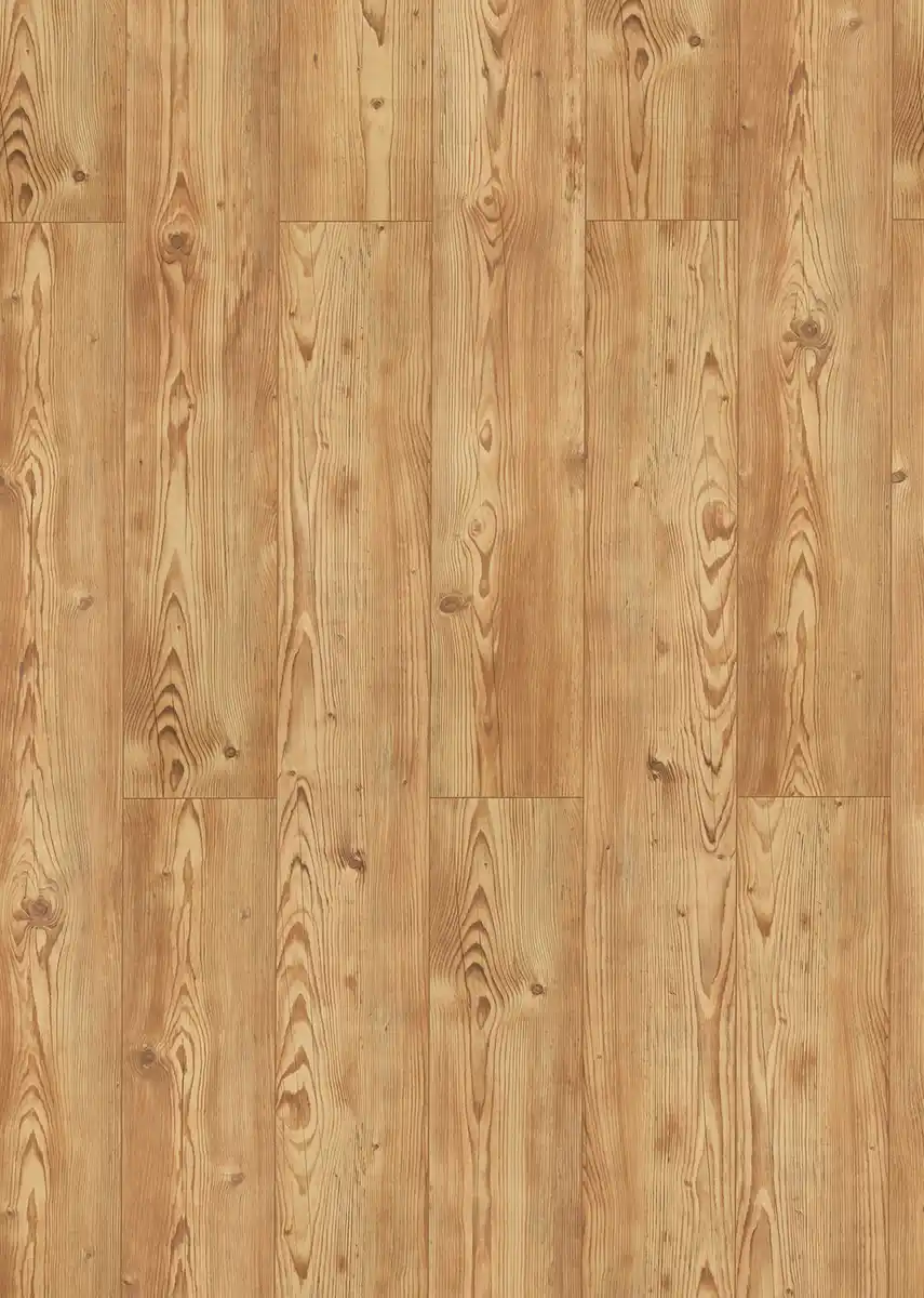 Bild 1 von Classen Grande XXL Angkor Himalaya Fichte