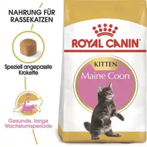 ROYAL CANIN Maine Coon Kitten 4 kg