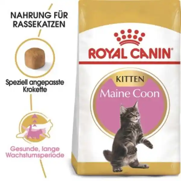 Bild 1 von ROYAL CANIN Maine Coon Kitten 4 kg