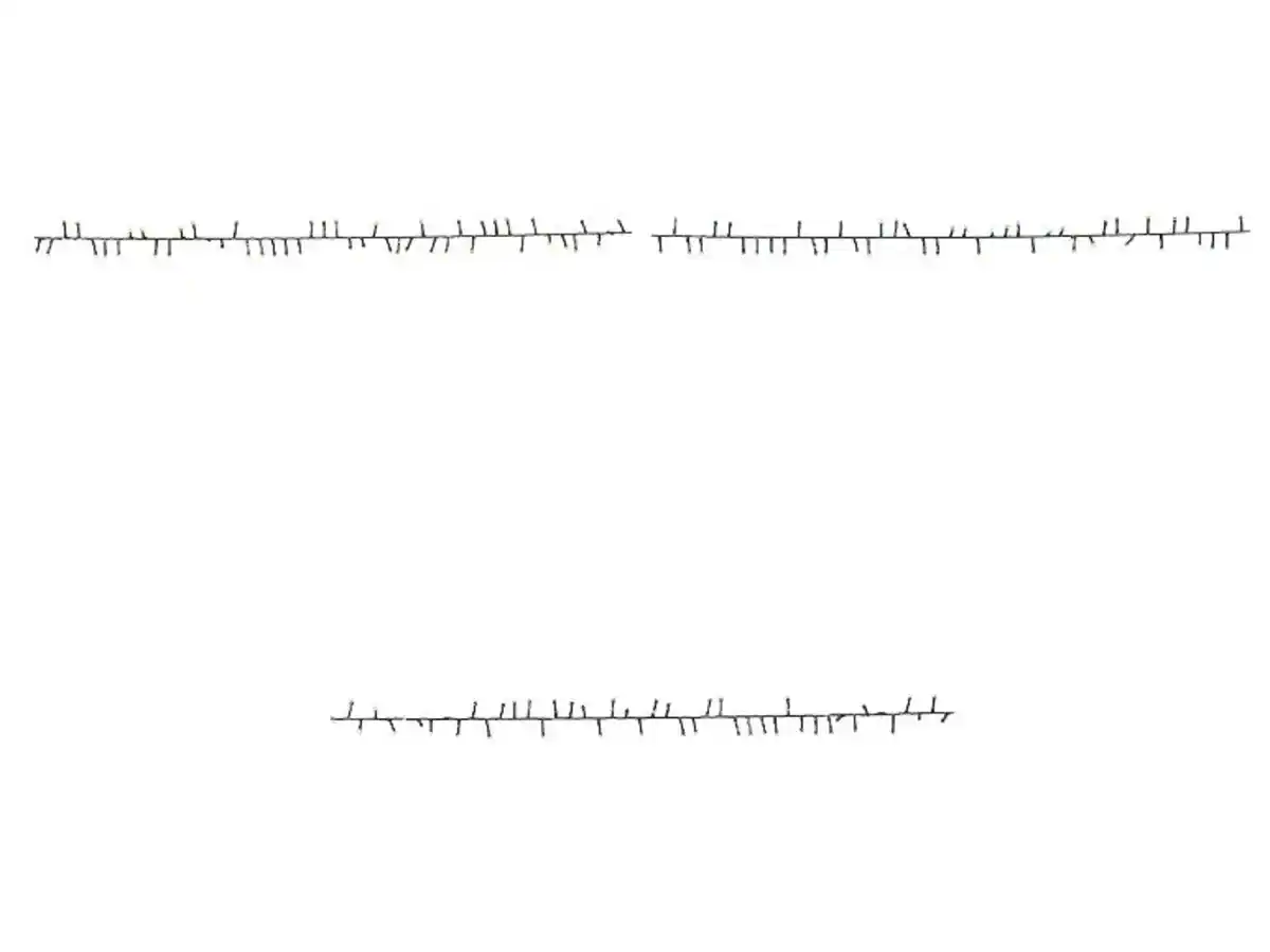 Bild 1 von LIVARNO home LED-Lichterkette, 700 LEDs, mit Timer