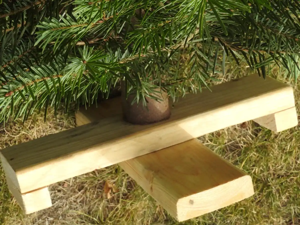 Bild 2 von Weihnachtsbaum