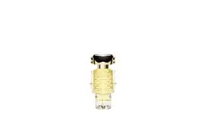 Rabanne Fame Eau de Parfum Nachfüllbar