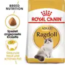 Bild 1 von ROYAL CANIN Ragdoll Adult 2 kg