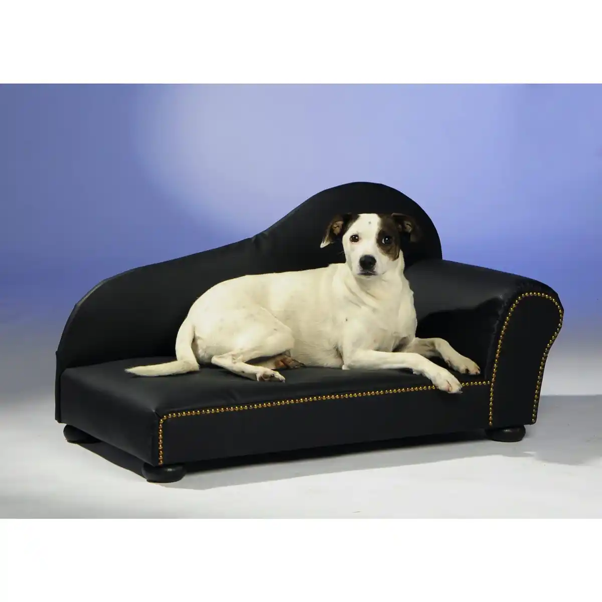 Bild 1 von Silvio Design Heimtierottomane in Lederoptik, B 75 x T 39 cm