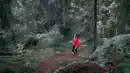 Bild 1 von Rundreisen Schweden: Rundreise mit Entspannung & Abenteuer