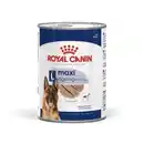 Bild 1 von ROYAL CANIN Maxi Ageing Mousse 12x410 g