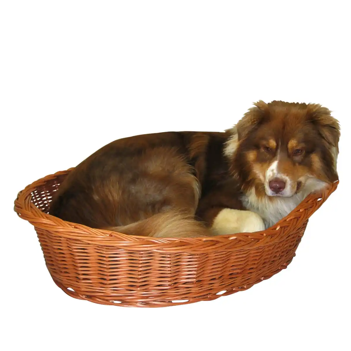 Bild 1 von Silvio Design Ruhekorb mit Kissen 107 cm