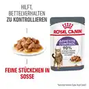 Bild 1 von ROYAL CANIN Appetite Control Care 12 x 85 g