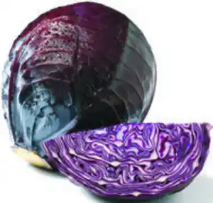 Rotkohl