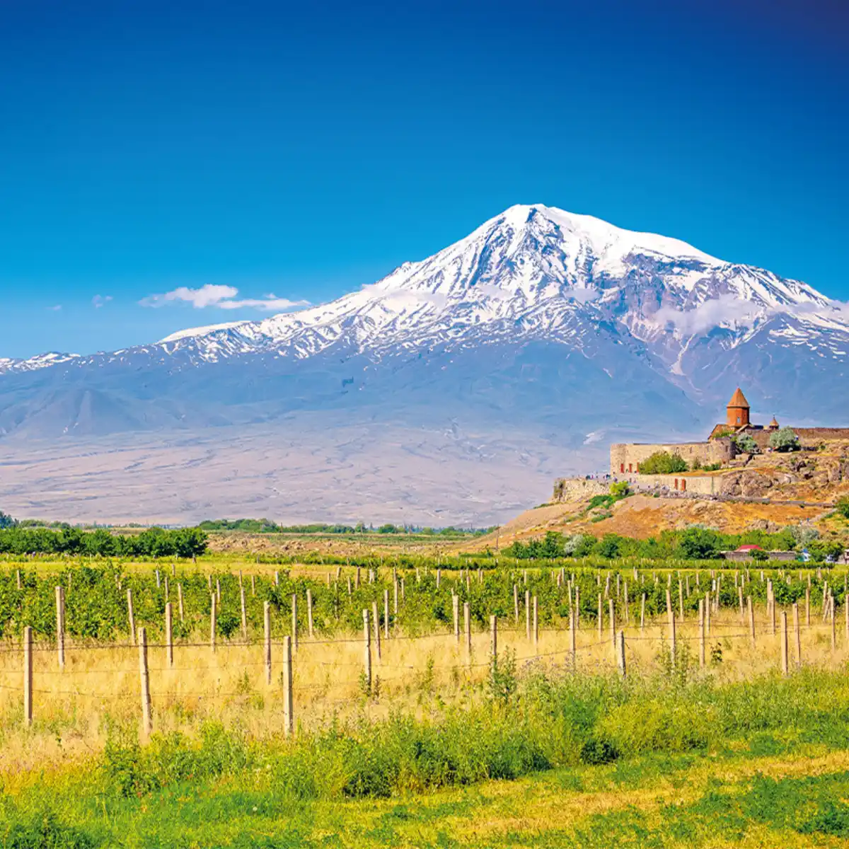 Bild 1 von Großartiger Kaukasus max. 19 Pers.