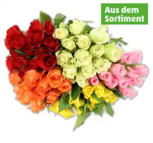 Wunderschöne Rosen