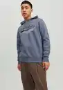 Bild 1 von Jack & Jones Kapuzensweatshirt LOGO SWEAT HOOD