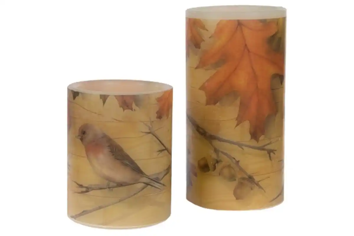 Bild 1 von Set/2 LED-Kerzen Herbstvogel
