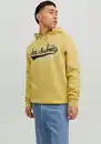 Bild 1 von Jack & Jones Kapuzensweatshirt LOGO SWEAT HOOD