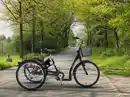 Bild 4 von SachsenRad Lastenrad Dreirad T3A Trio mit Alarmanlage, Klapprad