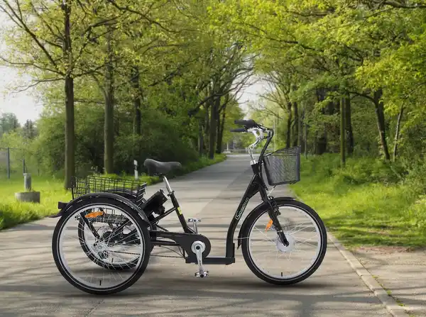 Bild 4 von SachsenRad Lastenrad Dreirad T3A Trio mit Alarmanlage, Klapprad