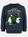 Bild 1 von Jungen Weihnachts-Sweatshirt mit Pailletten und Printmotiv Marine