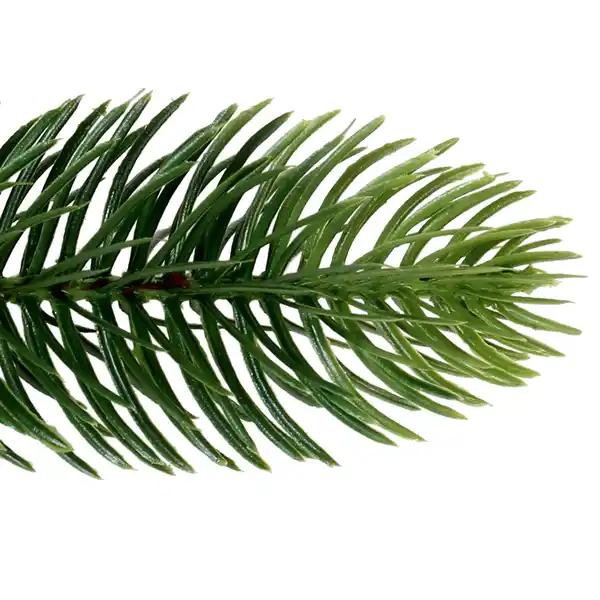 Bild 2 von Kunsttanne Nagano 180 cm Grün