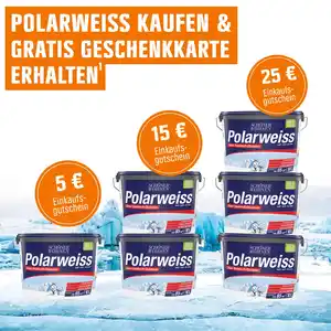 Schöner Wohnen Innen- und Wandfarbe Polarweiss Matt 10 l