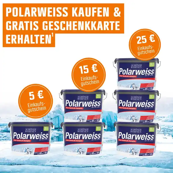 Bild 1 von Schöner Wohnen Innen- und Wandfarbe Polarweiss Matt 10 l