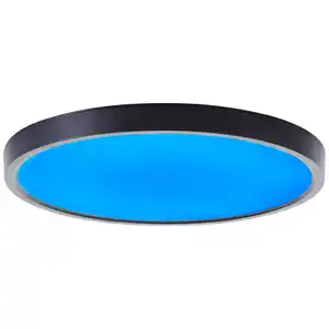 Brilliant LED-Deckenleuchte Lotti RGB + CCT Ø 30cm Schwarz/Weiß