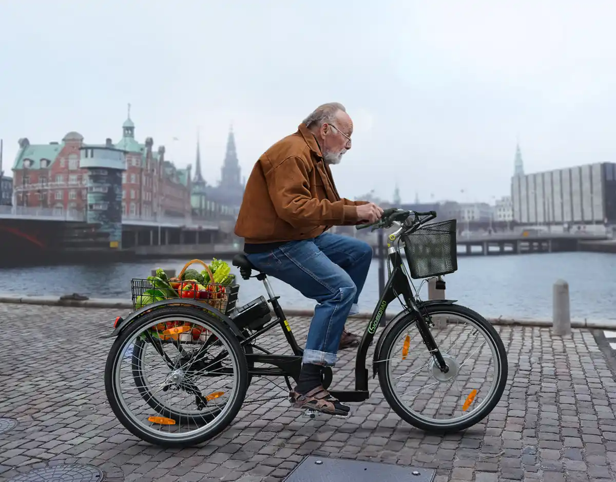 Bild 4 von SachsenRad Lastenrad Dreirad T3A Trio mit Alarmanlage, Klapprad