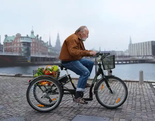 Bild 4 von SachsenRad Lastenrad Dreirad T3A Trio mit Alarmanlage, Klapprad