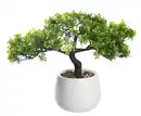 Bild 1 von Kunst-Bonsai