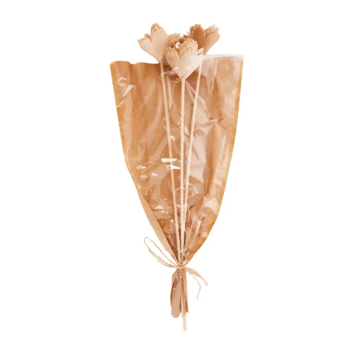 Bild 2 von HOME CREATION Trockenblumen