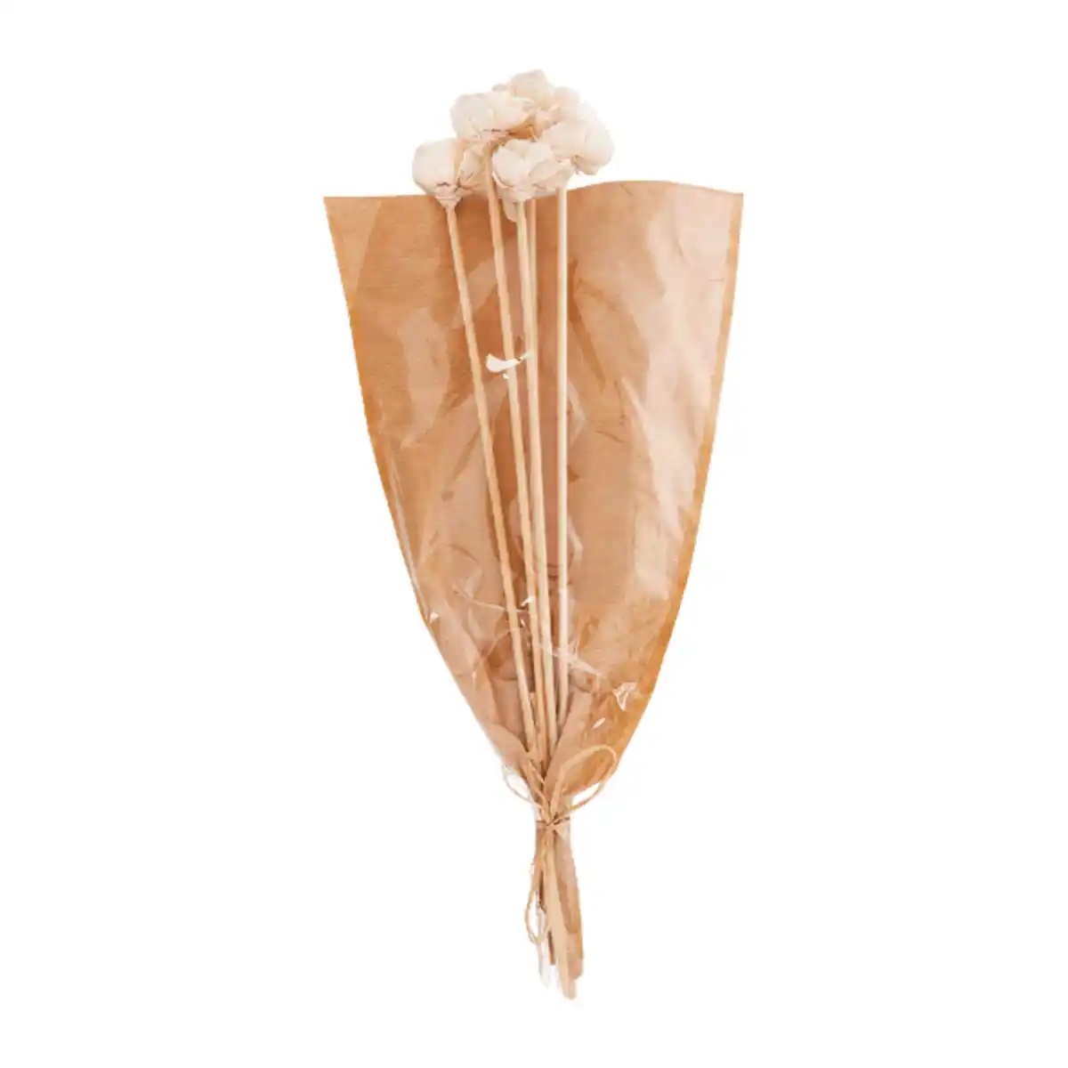 Bild 3 von HOME CREATION Trockenblumen