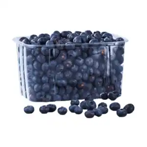 Kulturheidelbeeren XXL 500g