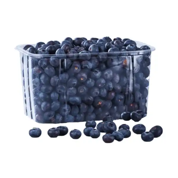 Bild 1 von Kulturheidelbeeren XXL 500g