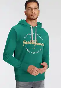 Jack & Jones Kapuzensweatshirt JJ JJANDY SWEAT HOOD, Grün