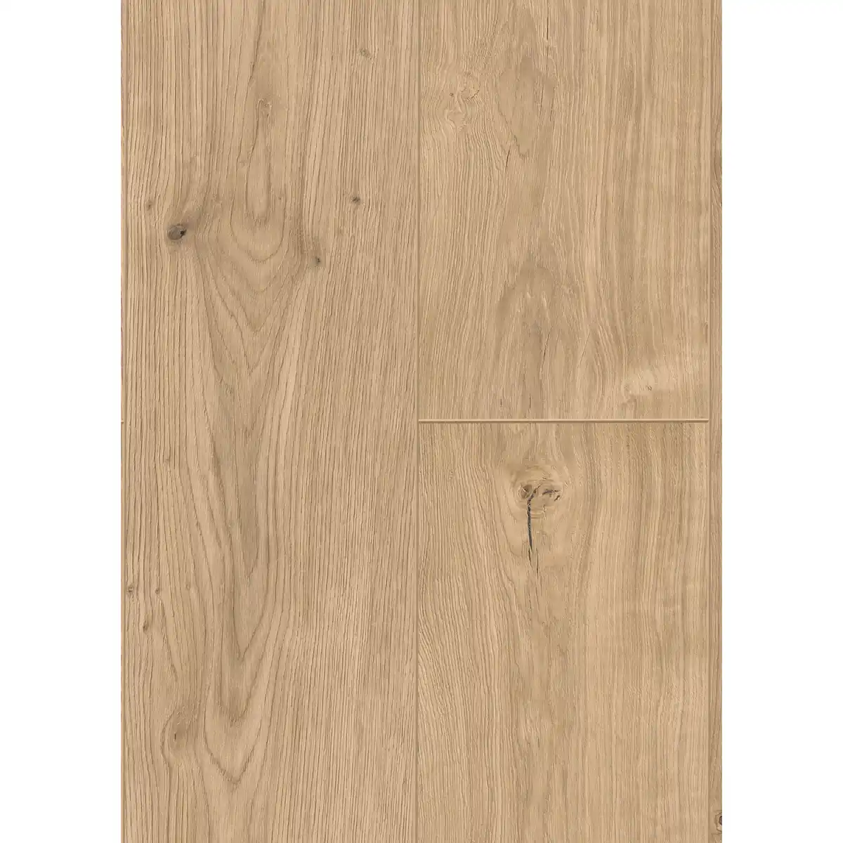 Bild 1 von toom Vinylboden Eiche Glamour beige PVC frei 3,6 mm