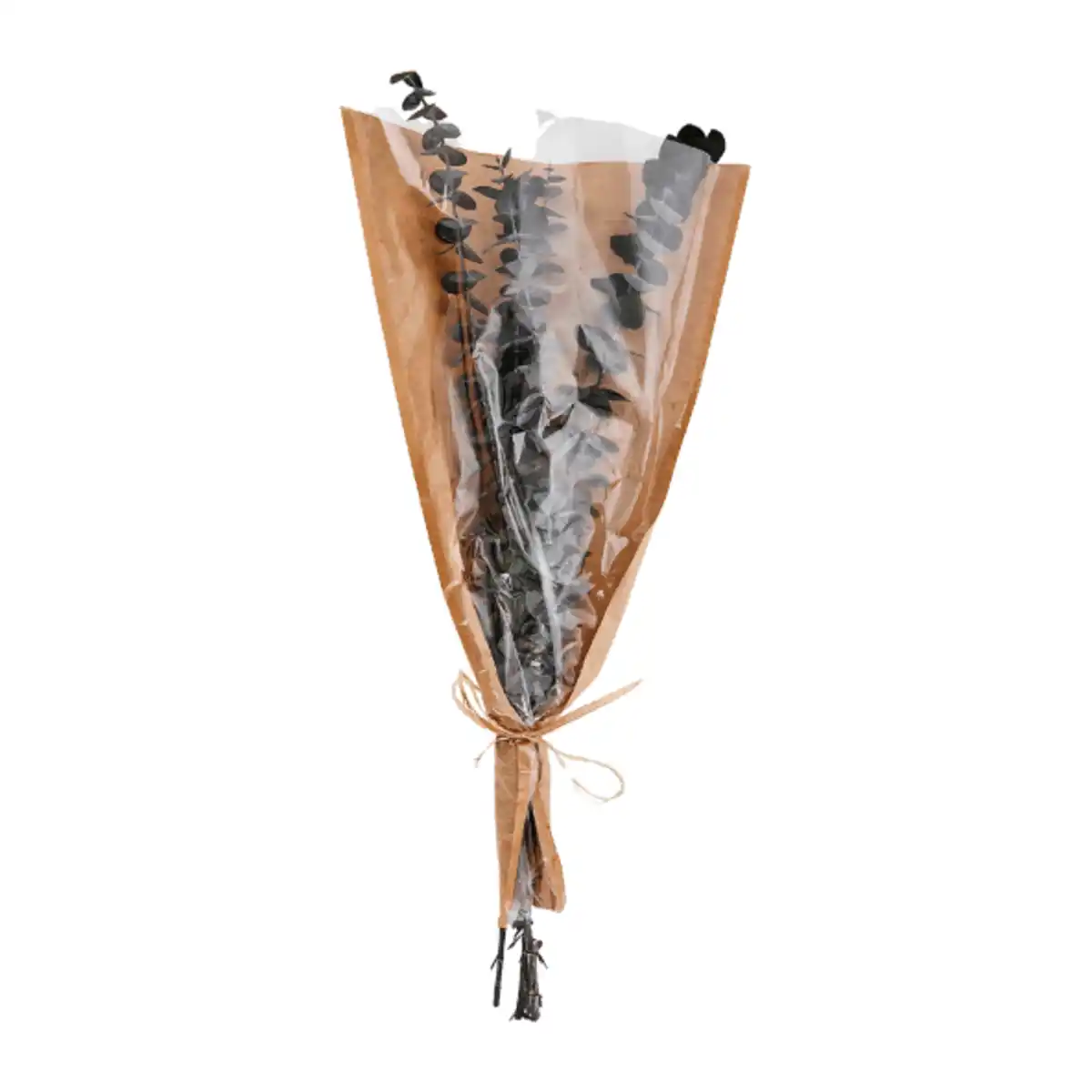 Bild 4 von HOME CREATION Trockenblumen