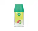 Bild 1 von AIRWICK Nachfüller "Citrus Breeze" für Freshmatic Max - 250ml