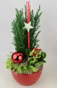 Arrangement Indoor Nr. 7 Schale mit Stern und Weihnachtskugel 15 cm