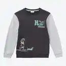 Bild 1 von Kinder-Jungen-Sweatshirt mit Kontrast-Ärmeln, Dark-blue